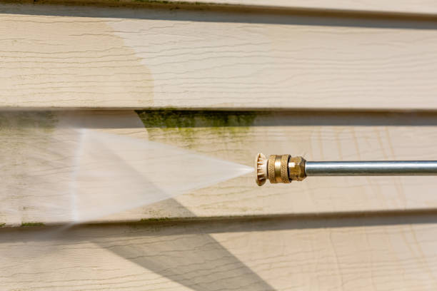 Best Roof Pressure Washing  in Cerro Gordo, IL