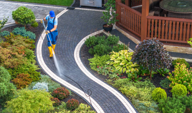 Best Pressure Washing Near Me  in Cerro Gordo, IL